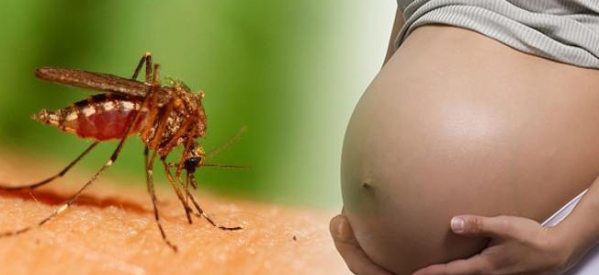 Guinée Bissau: après le Cap-Vert, le virus Zika apparaît dans l’archipel des Bijagos