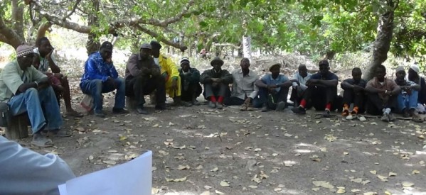 Casamance: une quinzaine de chefs de village rencontrent les politiques et les combattants du MFDC