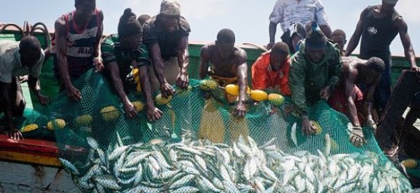 Mauritanie: Un millier de pêcheurs sénégalais contraints de quitter le pays