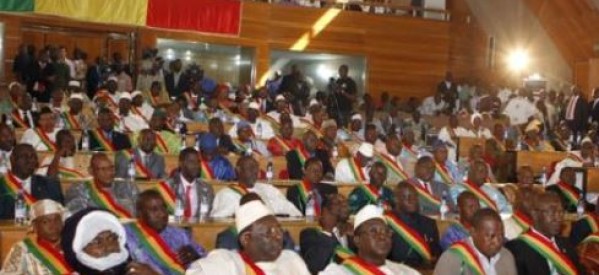 Mali : la révision de la Constitution adoptée par l’Assemblée nationale
