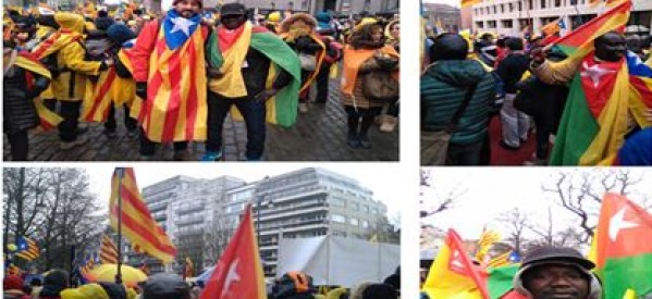 Casamance / Catalogne / Belgique : Casamançais de la Diaspora et Catalans défendent la démocratie à Bruxelles