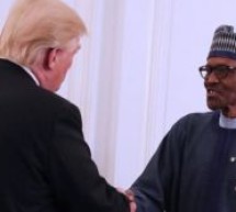Etats-Unis / Nigéria: Trump reçoit Buhari à la Maison Blanche