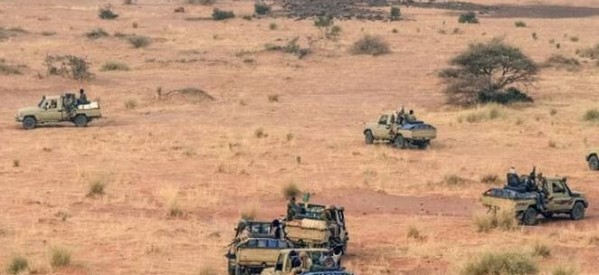Niger: 28 soldats tués dans une nouvelle attaque à la frontière malienne