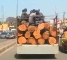 Casamance : Deux camions gambiens de trafiquants de bois de Casamance brûlés