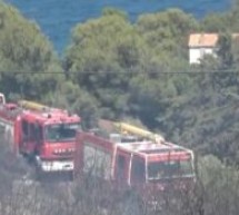 Catalogne :  350 personnes évacuées après un feu de forêt