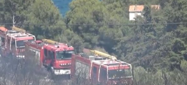 Catalogne :  350 personnes évacuées après un feu de forêt