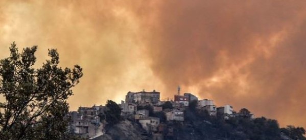 Algérie : Incendies meurtriers avec 71 morts