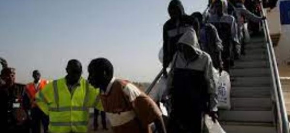 Gambie / Allemagne : 4000 migrants gambiens doivent être refoulés d’Allemagne