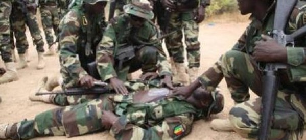 Casamance : Plus de 20 militaires sénégalais tués au nord de la Casamance