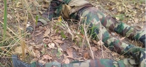 Casamance : deux corps de soldats sénégalais découverts dans la forêt au nord de la Casamance