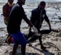 Casamance : au moins 11 morts dans le chavirement d’une embarcation au large de Kafountine