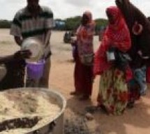 Tchad : le gouvernement déclare une « urgence alimentaire et nutritionnelle »