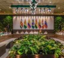 Brésil : Les pays sud-américains d’Amazonie forment une alliance « de combat contre la déforestation »
